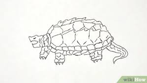 Gambar terkait dengan gambar kura kura penuh. 4 Cara Untuk Menggambar Kura Kura Wikihow