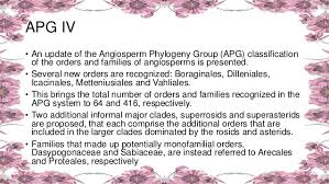 Angiosperm Phylogeny Group From 1 To 4