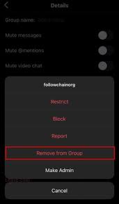 This is how you will appear to others on instagram. How To Remove Someone From A Group Chat On Instagram Followchain