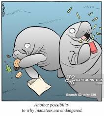 Manatee Cartoons And Comics Manatee Manatee Pictures Cartoon Most relevant best selling latest uploads. manatee cartoons and comics manatee