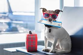 Iti prezentam in continuare cele mai avantajoase oferte de citybreak pentru orase importante: Top 10 City Break Uri 2021 Wise Fost Transferwise