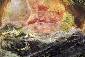 Simon Nicholas White: Landscape and Dreams