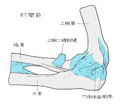 福岡・九州の後遺障害のご相談は弁護士法人アジア総合法律事務所