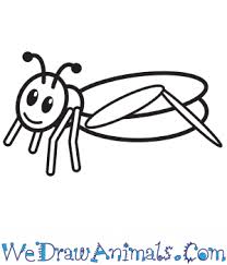How To Draw A Simple Grasshopper For Kids Allow them to meet in a gentle point. how to draw a simple grasshopper for kids