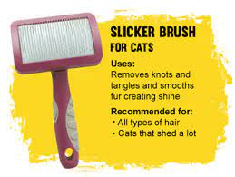 I purchased my furminator over 7 years ago, use it weekly and have not had to replace it. Choosing The Best Brush For Your Cat My Pet Warehouse