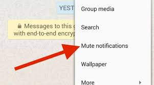 Untuk cara menyembunyikan pesan whatsapp dengan fitur arsip wa, cobalah beberapa langkah berikut ini: Cara Menyembunyikan Pemberitahuan Whatsapp Dengan Opsi Mute Gadget2reviews Com