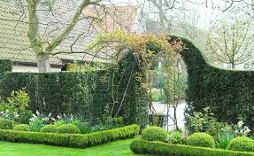 Optische Tauschung Die Wichtigsten Gestaltungstricks Gartengestaltung Gartenparadies Kleiner Garten