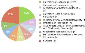 Image result for Lannea antiscorbutica
