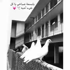 pin by amira fawzy on صورة world explore profile