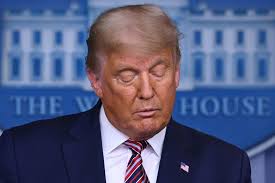 Political commentators on the right, including donald trump jr. Donald Trump Jr And Eric Trump Are Right About The Gop And Their Father