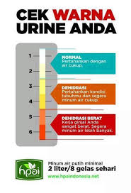 Ada beberapa penyebab air seni berwarna merah, seperti infeksi saluran kemih, batu ginjal, kanker kandung kemih, atau kanker prostat. Rahasia Dibalik Warna Urine Anda Pusat Herbal Halal Facebook
