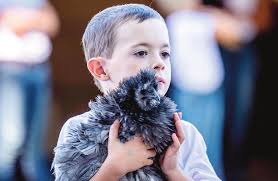 Wayne Layout Template