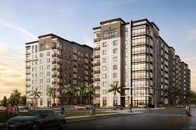 Pete rising @stpeterising on twitter. St Pete Rising Avanti St Petersburg Is Now Open At 201 Facebook