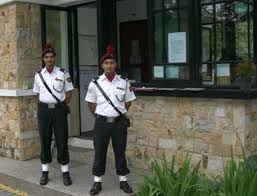 Check spelling or type a new query. Team Guards