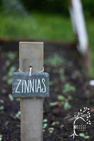 Weatherproof Vegetable Plant Markers Rocky Hedge Farm Garden Plant Markers Plant Markers Plant Labels