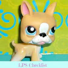 If it's from a pet store, a breeder, a shelter or a rescue. Littlest Pet Shop No Golden Tan Boston Terrier Puppy Dog Lps Rare Click Here Mylittlestpetshops Com For More Pets