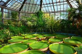 Cheile turzii, rezervatie naturala unde pot fi organizate drumetii si activitati de escalda. Locuri De Vizitat In Cluj Cu Copiii Obiective Turistice Pe Care SÄƒ Nu Le RataÈ›i