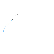 Delfin Zeichnen Lernen Schritt Fur Schritt Tutorial Zeichnen Leicht Gemacht