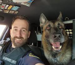 Happy retirement to K9...