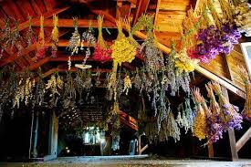 Pressing flowers between boards or sheets of cardboard takes weeks. Diy Flower Drying Enjoy Fresh Flowers A Second Time By Drying Avas Flowers