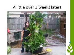 Tower garden flex, our original growing system, is the ultimate customizable, expandable home growing system. Homeschool Tower Garden Field Trip