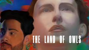 The Land of Owls