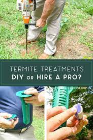 Termite Inspections And Installs What You Need To Know Diy Termite Treatment Termite Treatment Termite Inspection