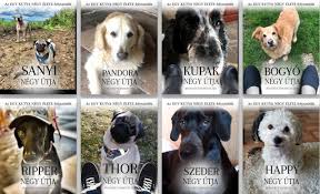 Vannak barátságok, melyek több életen át tartanak.ilyen bailey története is, aki négy ebéleten keresztül talált vissza szeretett gazdijához, ethanhez (dennis quaid).a hétköznapok vidámabbak nem is lehetnének, hiszen a boldog család: Legyen Most A Te Kutyad A Plakaton Kutyabarat Eletmod Magazin Egyutt Mindenhova