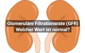 Und wann stellt sich die frage, ob eine regelmäßige blutwäsche nötig ist? Glomerulare Filtrationsrate Laborwert Erklart Praktischarzt