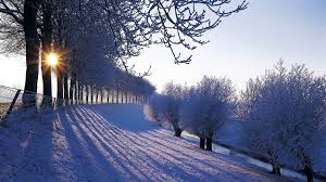 Winter Nature Backgrounds Winter Landscape Winter Scenery Free Winter Wallpaper