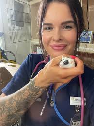 Are there any pet-friendly rentals available in Palmy, New Zealand?