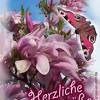 Die 25+ besten ideen zu schönes wochenende video auf. 1