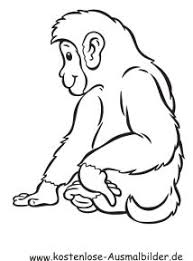 Ausmalbild Kleiner Affe Ausdrucken Ausmalbilder Tiere Ausmalen Kleiner Affe