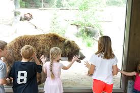 There is always something fun and interesting to see and the animals are so lively and look so healthy! John Ball Zoo Things To Do In Grand Rapids Michigan