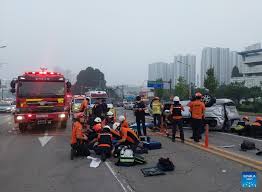 5 killed, 9 wounded in S. Korea's car accident-Xinhua