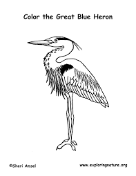 Whitepages is a residential phone book you can use to look up individuals. Heron Great Blue Coloring Page