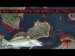 Inshore Fishing Spots For Speckled Trout Sea Trout How To Catch Speckled Trout On A High Tide Youtube In 2020 Inshore Fishing Inshore Trout