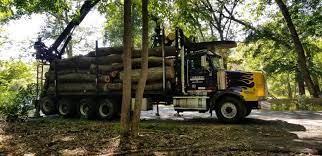 Serving chatham county and the rest of coastal georgia. Navarro Lawn And Tree Services Llc Home Facebook