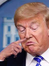 Cleaning Crew Called To Clear Trump S Boogers From Desk The Scoop News