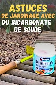 Les Bienfaits Du Bicarbonate De Soude Pour Un Jardin De Reve En 2020 Jardinage Trucs Et Astuces Jardinage Fongicide Naturel
