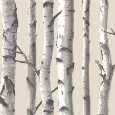 Chesapeake Tuxbury Beige Birch Tree Paper Strippable Wallpaper Covers 56 4 Sq Ft Tll21499 The Home Depot Birch Tree Wallpaper Birches Wallpaper Tree Wallpaper