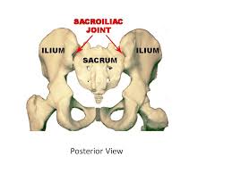 For some specialists, si pain is a mysterious phenomenon. Sacroiliac Joint Pain Causes Stemcelldoc S Weblog