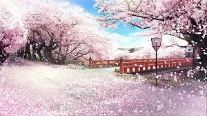 Maybe you would like to learn more about one of these? Japan Sakura Wallpapers Top Free Japan Sakura Backgrounds Wallpaperaccess