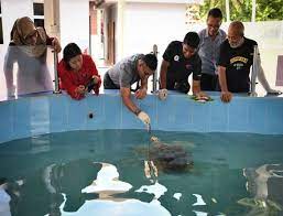 Terdahulu, beliau merasmikan program hari penghargaan ranger di pusat konservasi dan penerangan penyu di padang kemunting yang turut dihadiri pengarah jabatan perikanan melaka mohd ghazali a manap. Bernama Melaka Tiada Kompromi Tambakan Laut Ancam Penyu Karah Exco