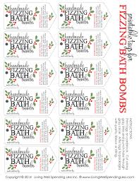 Handmade Fizzing Bath Bombs Homemade Bath Bombs Diy Gift Recipe Bath Bomb Packaging Fizzing Bath Bombs Christmas Bath Bombs