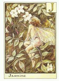 Jasmine Fairy By Cicely Mary Barker Flower Fairies Vintage Etsy Cicely Mary Barker Fairy Art Flower Fairies