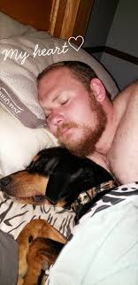 Missing pup. Please call 346-580-5273. He is nothing but friendly.