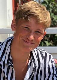 VAL AV KONGRESS- OMBUD