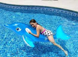 Dolphin Pool Birthday Party Dolphin Floats Pool Games Cake And More Pool Birthday Pool Birthday Party Dolphin Pools