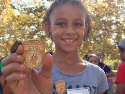 Gallery Item Display